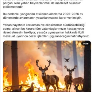 yangin bolgesinde avlanma yasaklandi CfWE1uYz