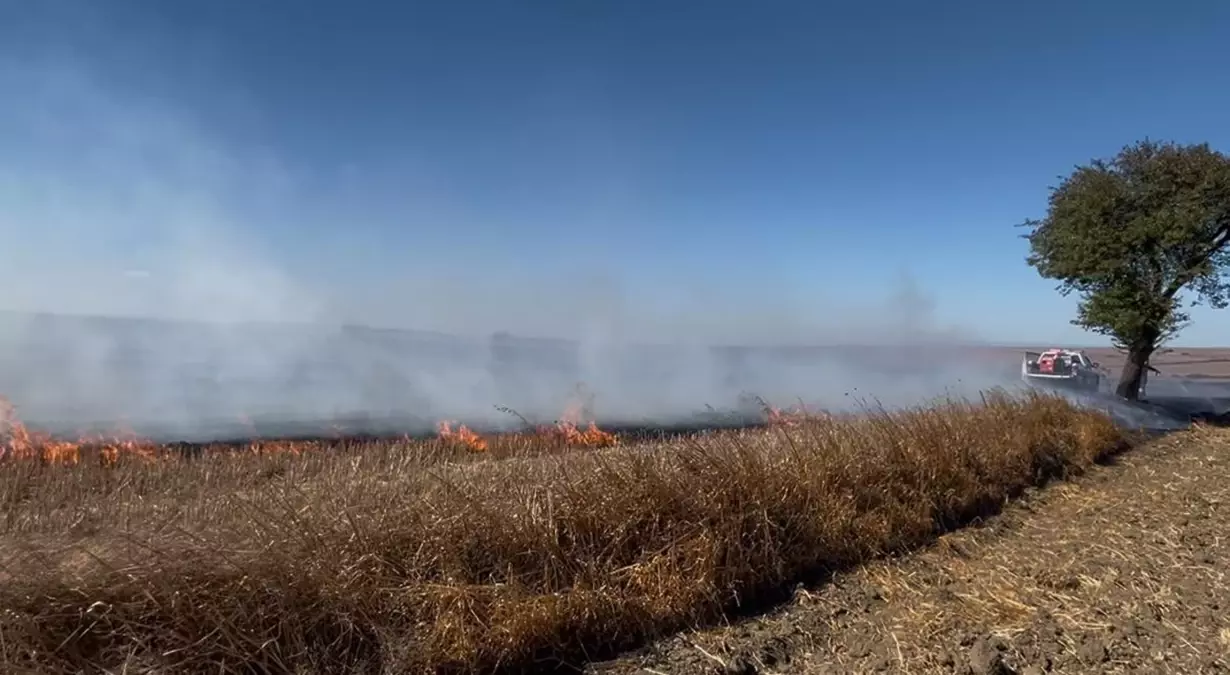 corluda aniz yangini kontrol altina alindi d8rN7llV