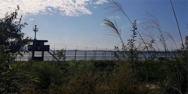 kuzey koreli bir asker yuksek guvenlikli sinirdan guney koreye gecti 965d15zf.jpg