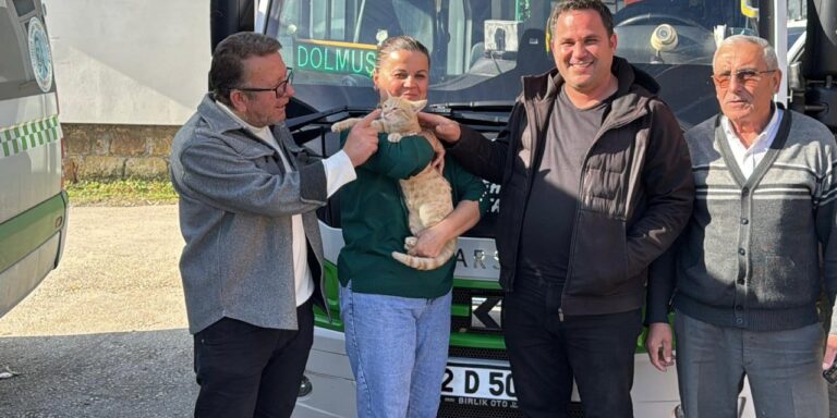 dolmus soforleri kedi icin seferber oldu ameliyat masrafini karsiladilar bakin ismini ne koydular 5d8AYlBL.jpg