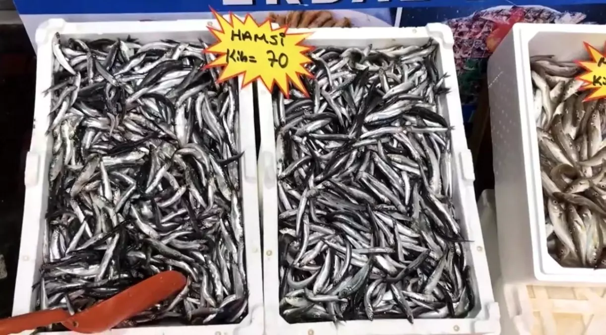 taze balik tuketin uyarisi 3zEzWJAj.jpg