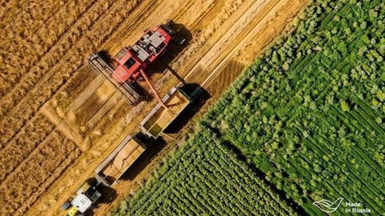 rusyadan-turkiyeye-tarim-ihracati-85-artti-made-in-russia-artista-nasil-bir-rol-oynadi-TdbwpKdp.jpg