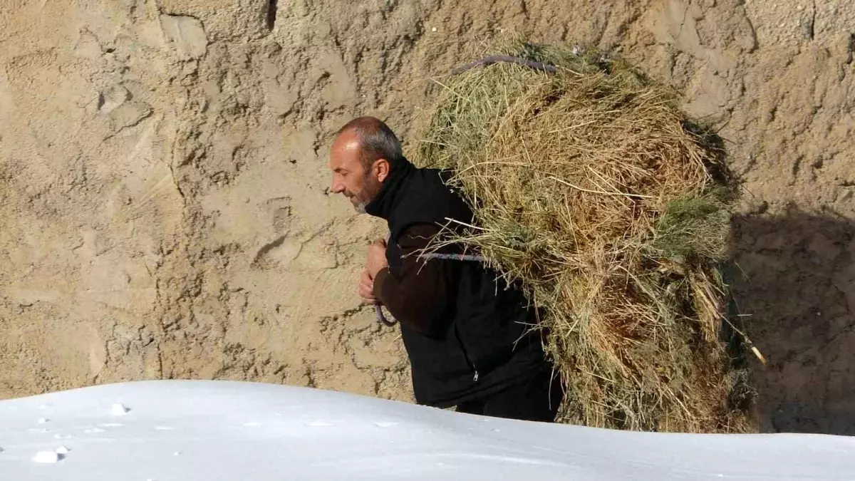 catakta-besiciler-kisin-zorluklarina-ragmen-hayvanlarini-besliyor-fcfqRDEy.jpg