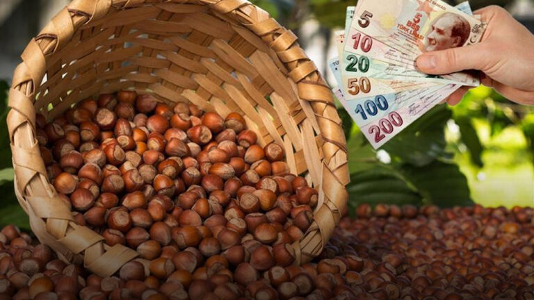 findik-ihracati-ucusta-4-ayda-gelir-987-milyon-dolari-asti-Srvhi26P